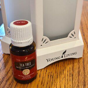 Young Living Tea Tree (Melaleuca alternifolia)